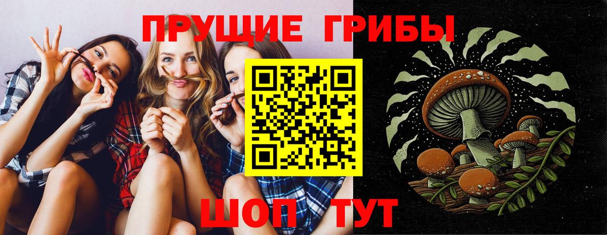 Псилоцибиновые грибы мицелий Магнитогорск