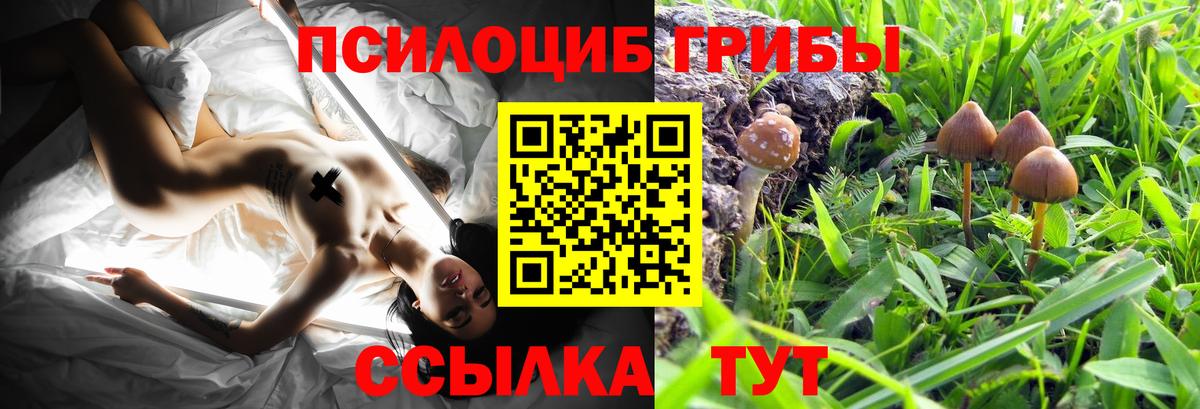 Магнитогорск  Галлюциногенные грибы GOLDEN TEACHER  Вход с VPN 